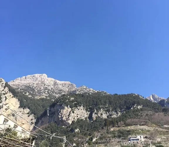 弗吉尼亚度假屋 度假居